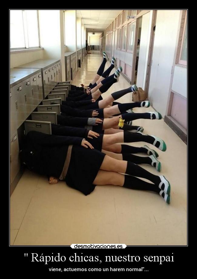  Rápido chicas, nuestro senpai - viene, actuemos como un harem normal...