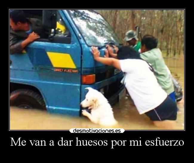 Me van a dar huesos por mi esfuerzo - 