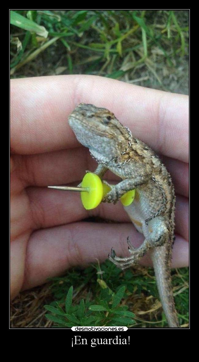 ¡En guardia! - 