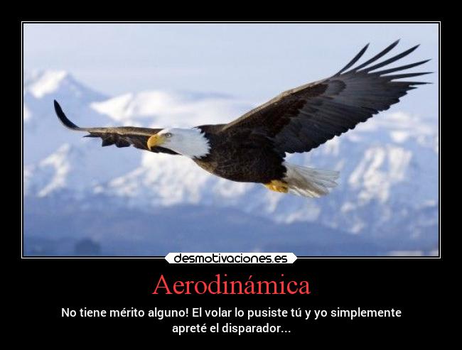 Aerodinámica - No tiene mérito alguno! El volar lo pusiste tú y yo simplemente
apreté el disparador...