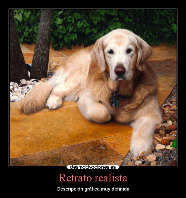 Retrato realista - Descripción gráfica muy definida