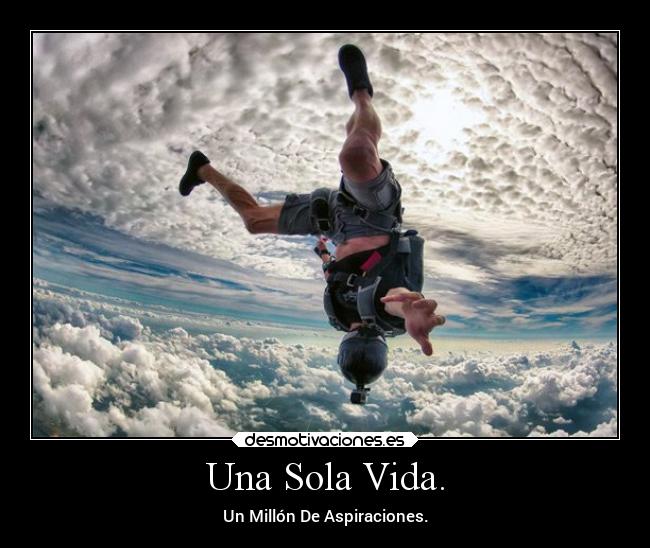 carteles vida vida desmotivaciones