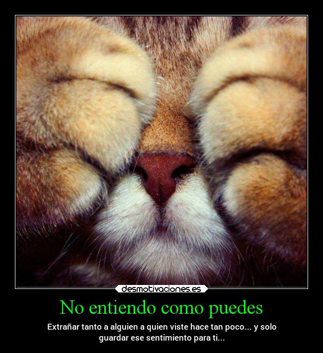 No entiendo como puedes - Extrañar tanto a alguien a quien viste hace tan poco... y solo
guardar ese sentimiento para ti...