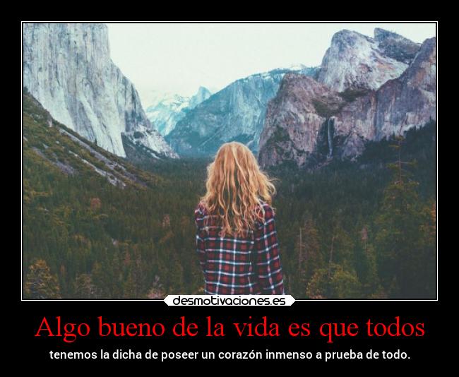 carteles vida vida llllllllll deadvil desmotivaciones