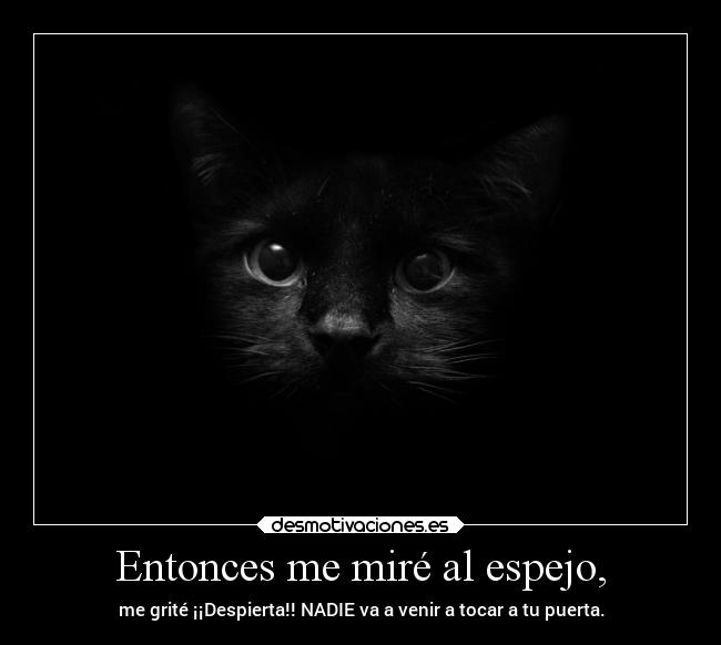 Entonces me miré al espejo, -