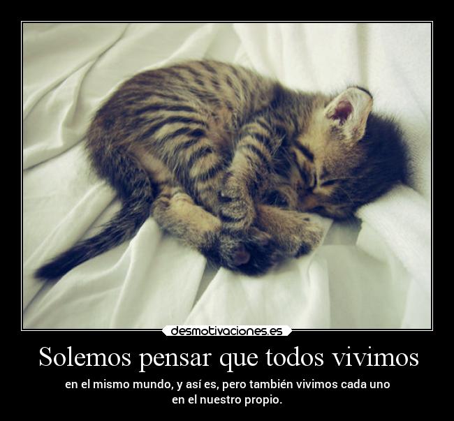 Solemos pensar que todos vivimos - 