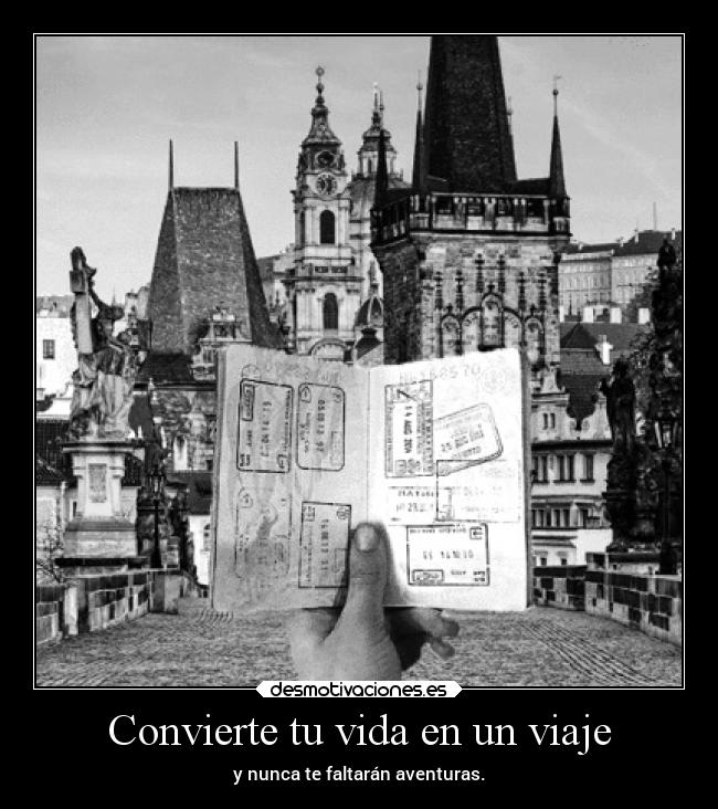 carteles vida mundo nuriasv mimenteestallenosdebunniesrechonchitosorejotasbigotoneslinditoshermosinis desmotivaciones