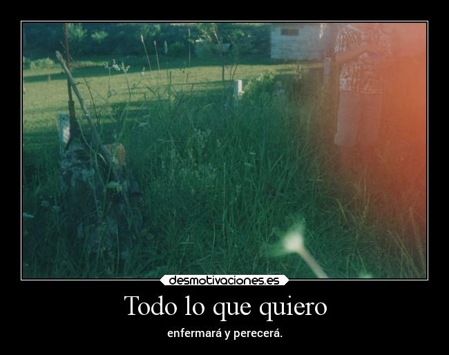 Todo lo que quiero -