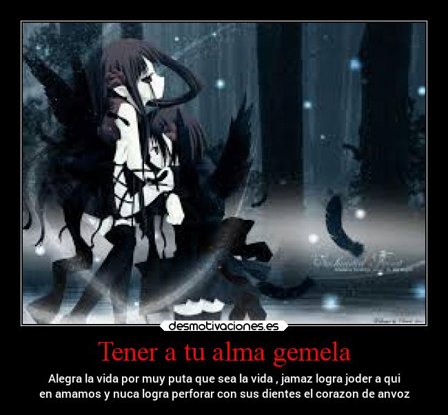 Tener a tu alma gemela - Alegra la vida por muy puta que sea la vida , jamaz logra joder a qui
en amamos y nuca logra perforar con sus dientes el corazon de anvoz