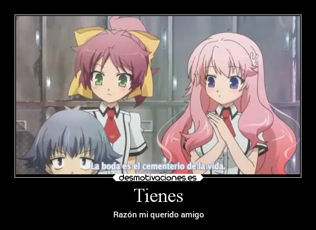 Tienes - Razón mi querido amigo