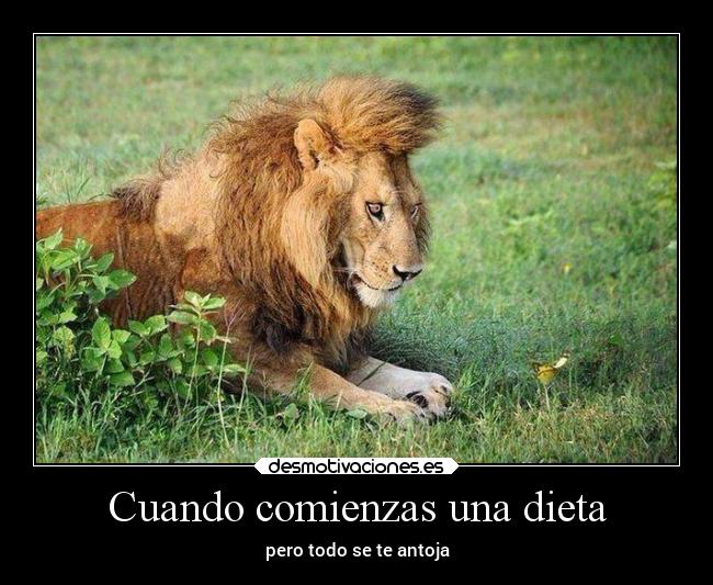 carteles arte comida desmotivaciones