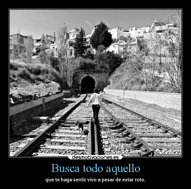 Busca todo aquello - que te haga sentir vivo a pesar de estar roto.