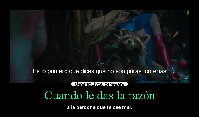 carteles cine razon persona marvel guardianesdelagalaxia guardianes galaxia rocketracoon rocket racoon desmotivaciones