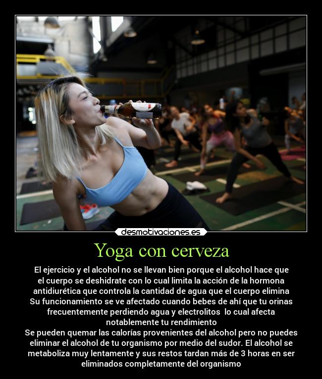 Yoga con cerveza - El ejercicio y el alcohol no se llevan bien porque el alcohol hace que
el cuerpo se deshidrate con lo cual limita la acción de la hormona
antidiurética que controla la cantidad de agua que el cuerpo elimina
Su funcionamiento se ve afectado cuando bebes de ahí que tu orinas
frecuentemente perdiendo agua y electrolitos lo cual afecta
notablemente tu rendimiento
Se pueden quemar las calorías provenientes del alcohol pero no puedes
eliminar el alcohol de tu organismo por medio del sudor. El alcohol se
metaboliza muy lentamente y sus restos tardan más de 3 horas en ser
eliminados completamente del organismo