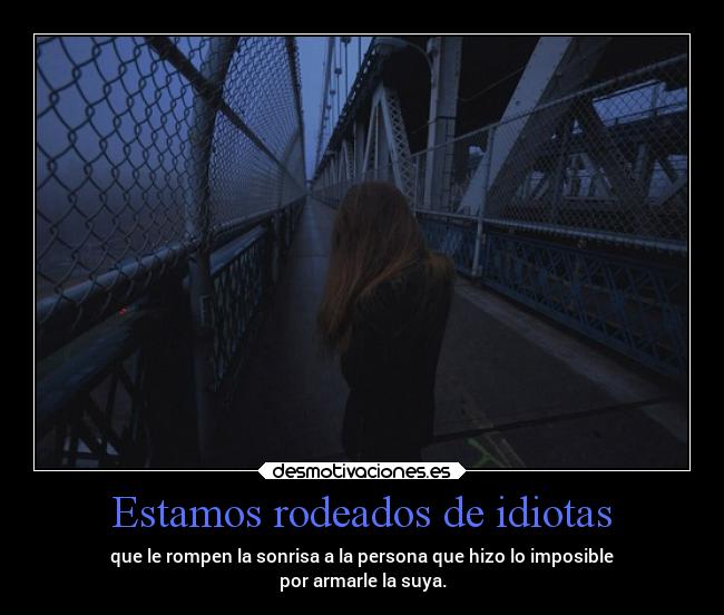 Estamos rodeados de idiotas - que le rompen la sonrisa a la persona que hizo lo imposible
por armarle la suya.