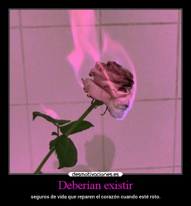 Deberían existir - seguros de vida que reparen el corazón cuando esté roto.