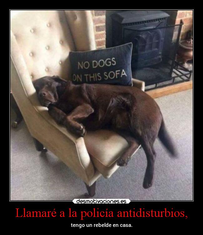 Llamaré a la policía antidisturbios, - tengo un rebelde en casa.