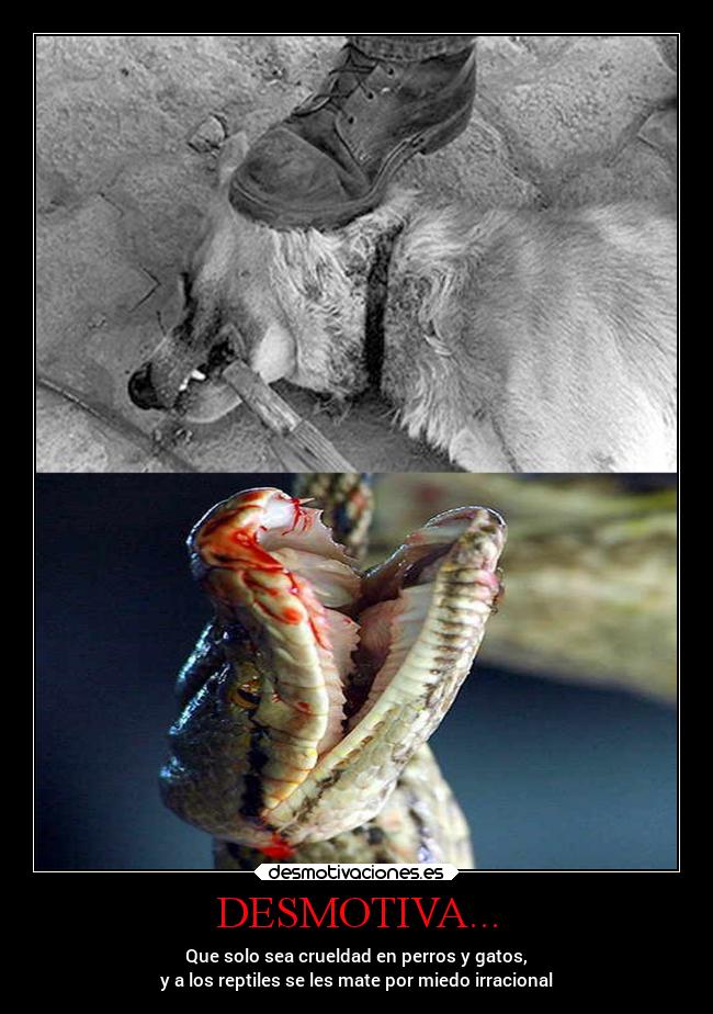DESMOTIVA... - Que solo sea crueldad en perros y gatos,
y a los reptiles se les mate por miedo irracional