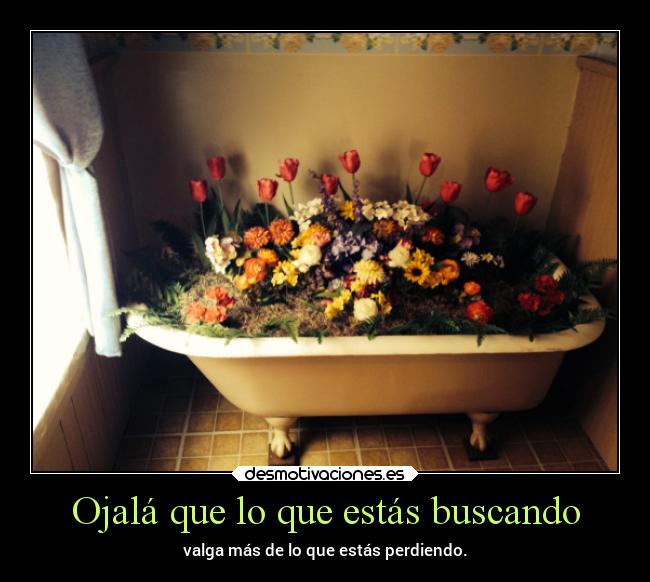 Ojalá que lo que estás buscando - valga más de lo que estás perdiendo.