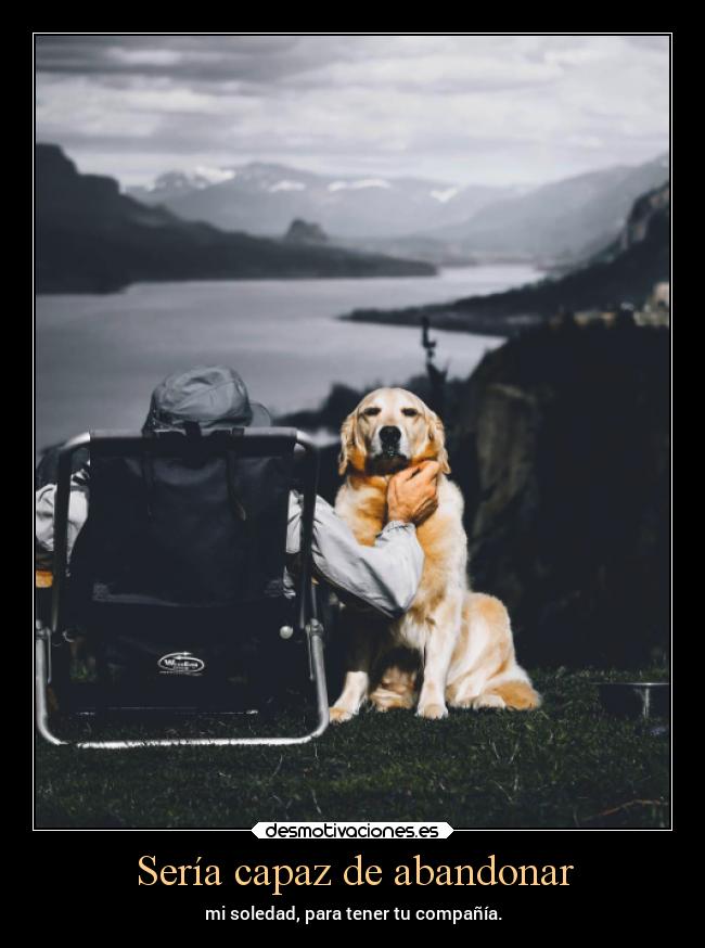 Sería capaz de abandonar - mi soledad, para tener tu compañía.