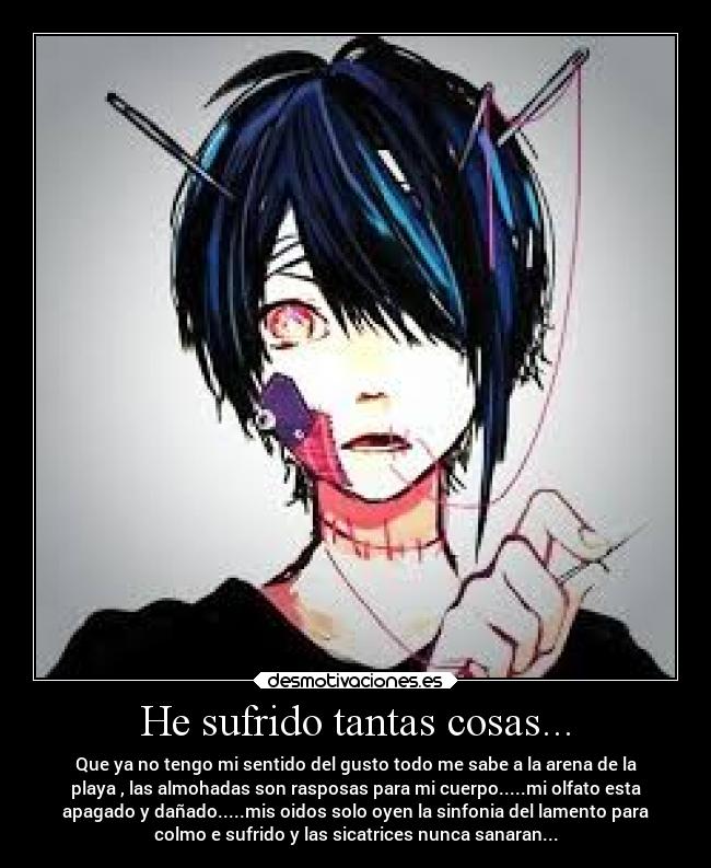 carteles dolor odio celos rencor desmotivaciones