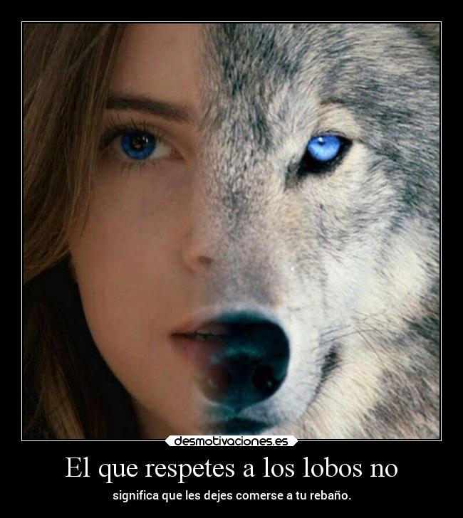 El que respetes a los lobos no -