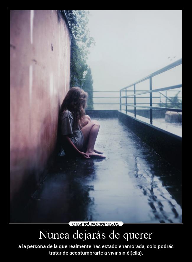 Nunca dejarás de querer - 