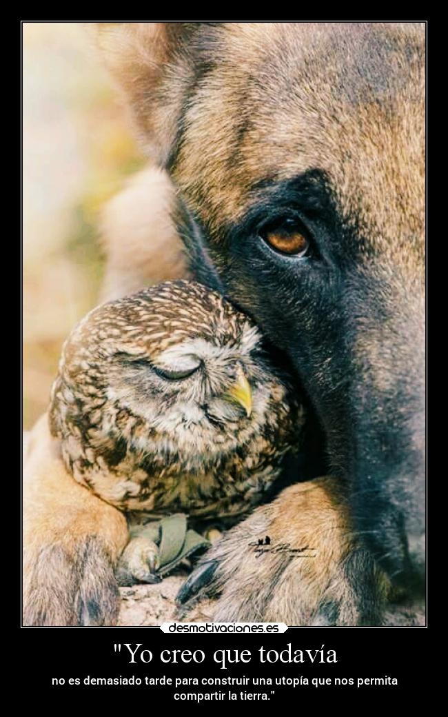 Yo creo que todavía - no es demasiado tarde para construir una utopía que nos permita
compartir la tierra.