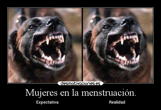 Mujeres en la menstruación. - Expectativa Realidad