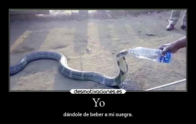 Yo - dándole de beber a mi suegra.