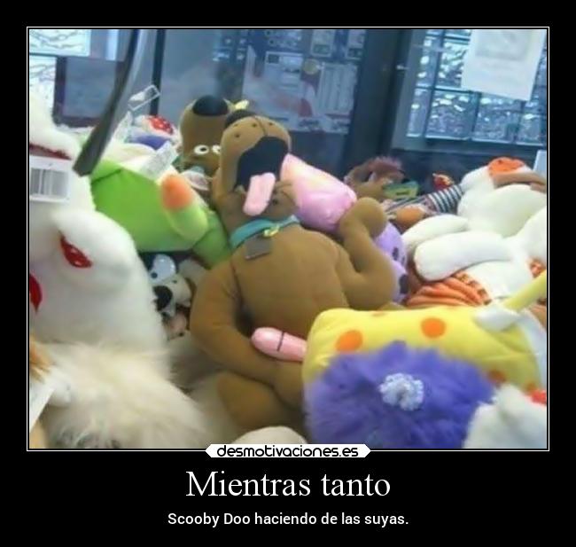 Mientras tanto - Scooby Doo haciendo de las suyas.