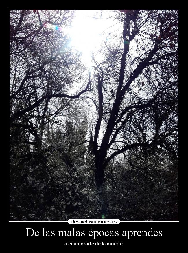 De las malas épocas aprendes - a enamorarte de la muerte.