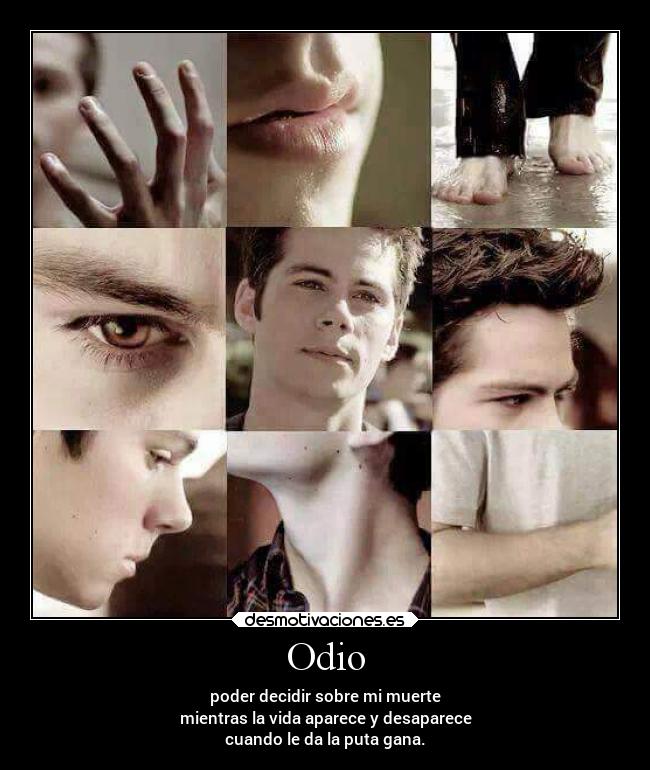 Odio - 