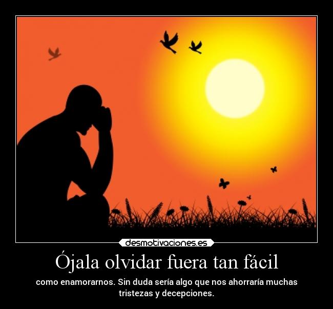 carteles olvidar frases tristeza desmotivaciones
