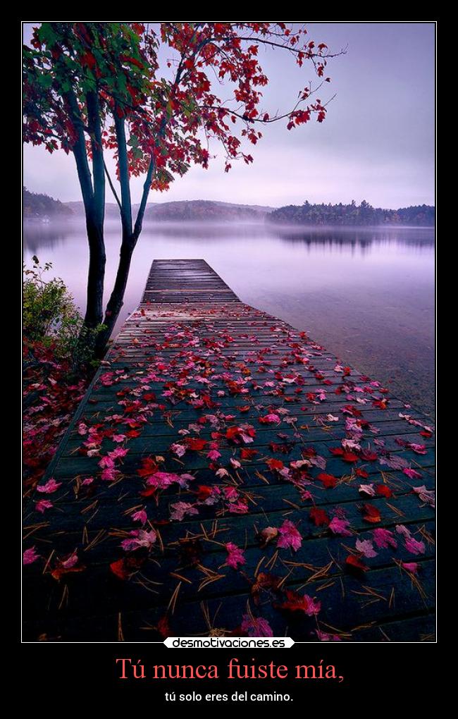 Tú nunca fuiste mía, - tú solo eres del camino.