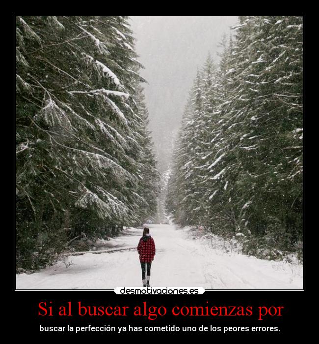 carteles vida buscar perfeccion errores mipropiouniverso desmotivaciones