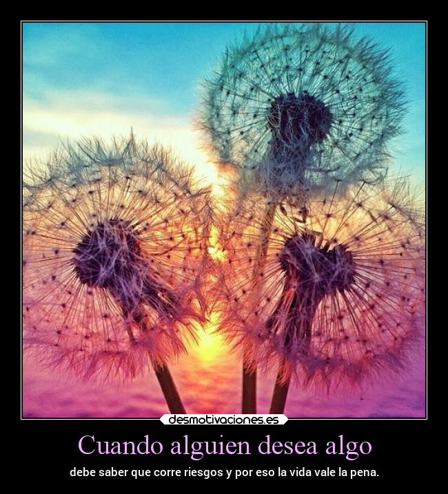 carteles vida frases deseos chopper igbt hecho para kite666 riesgos poder desmotivaciones