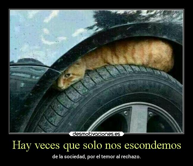 Hay veces que solo nos escondemos - 