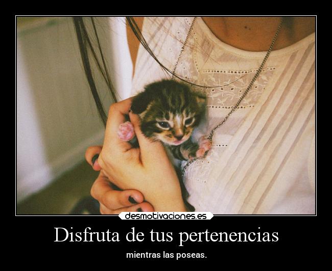 Disfruta de tus pertenencias - mientras las poseas.