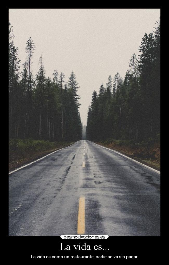 La vida es... - 
