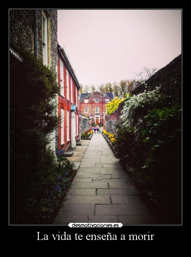 La vida te enseña a morir -
