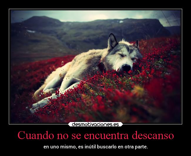 Cuando no se encuentra descanso - 