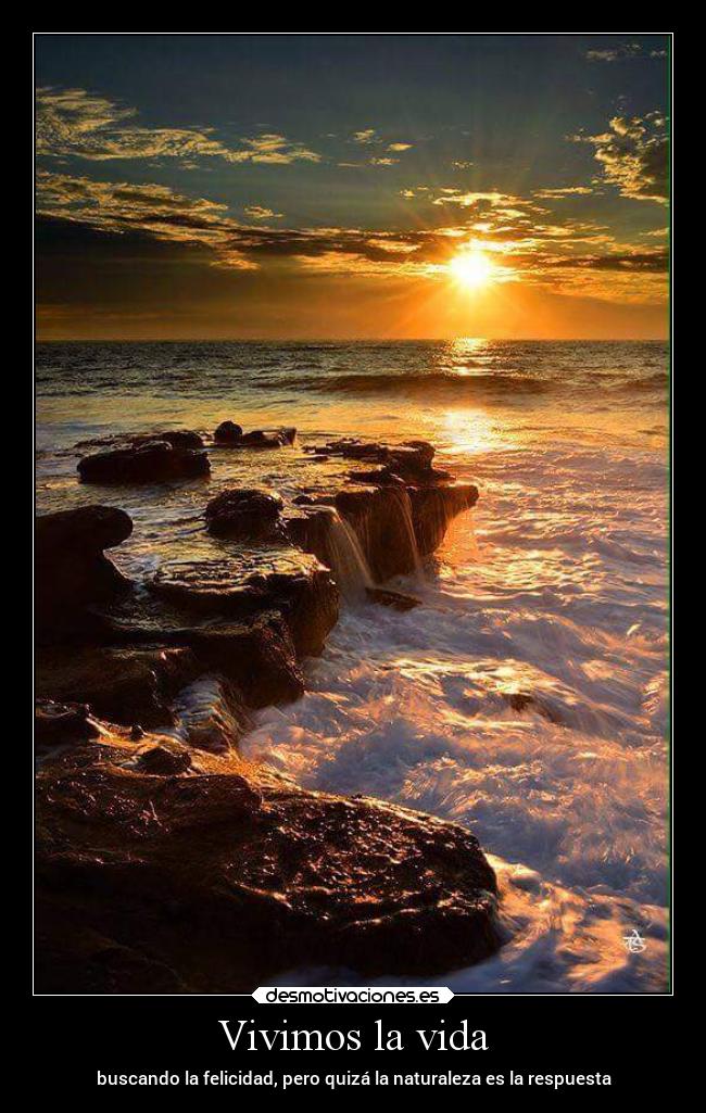 Vivimos la vida - 