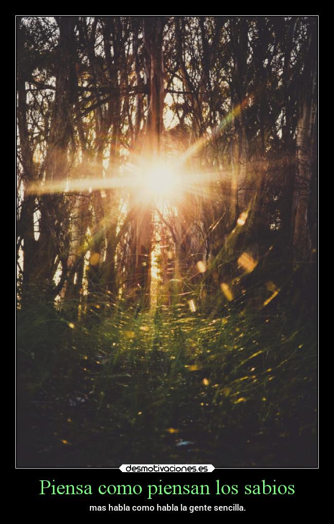 carteles vida pensamientos frases estoy aburrido chopper igbt ultimos carteles lossupervivientes desmotivaciones