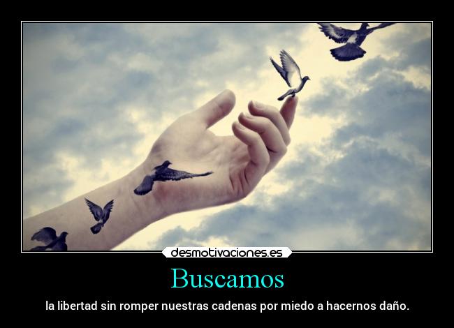 Buscamos - la libertad sin romper nuestras cadenas por miedo a hacernos daño.