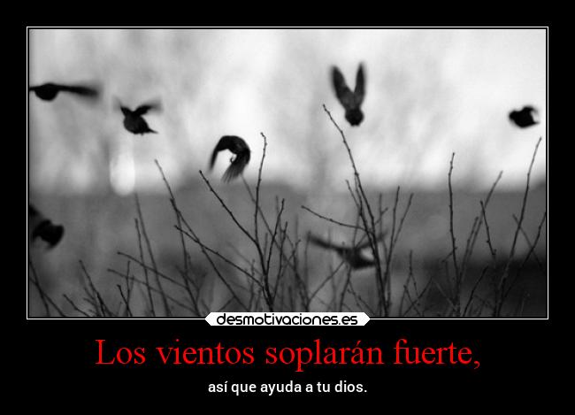 carteles vida superclan soyunidiotatm ghost supercartel zenith lossupervivientes desmotivaciones