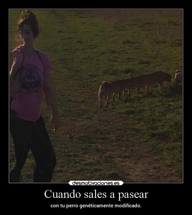 Cuando sales a pasear -
