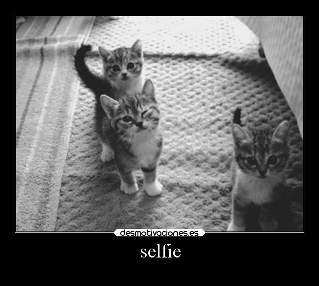 selfie -