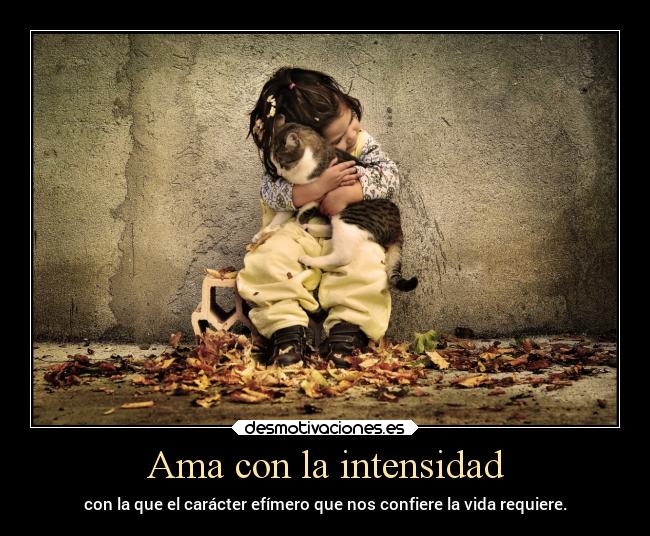 carteles alma confianza amor desmotivaciones