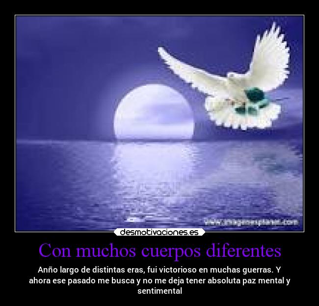 Con muchos cuerpos diferentes - 